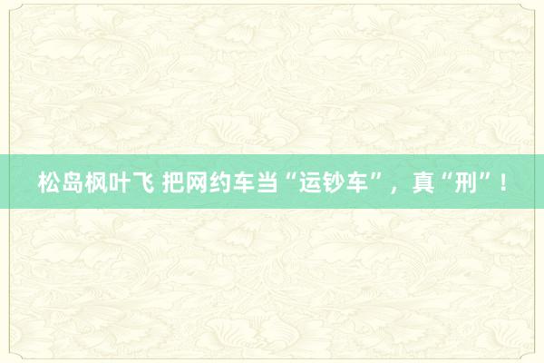 松岛枫叶飞 把网约车当“运钞车”，真“刑”！
