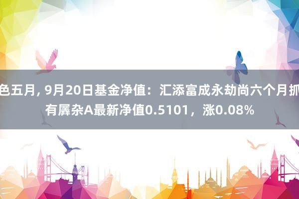 色五月， 9月20日基金净值：汇添富成永劫尚六个月抓有羼杂A最新净值0.5101，涨0.08%
