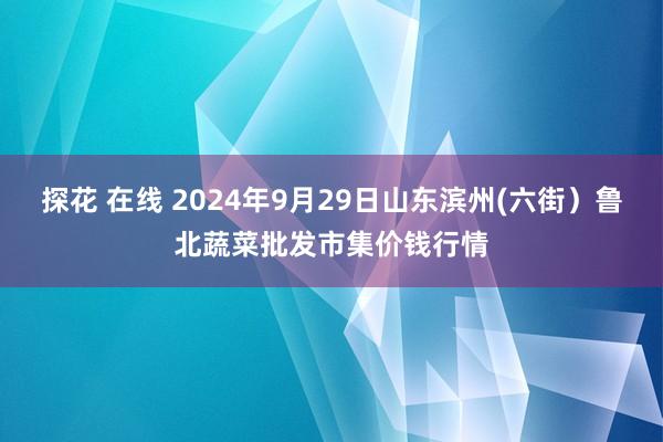 探花 在线 2024年9月29日山东滨州(六街)鲁北蔬菜批发市集价钱行情