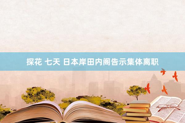 探花 七天 日本岸田内阁告示集体离职