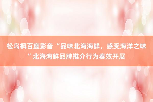松岛枫百度影音 “品味北海海鲜，感受海洋之味”北海海鲜品牌推介行为奏效开展