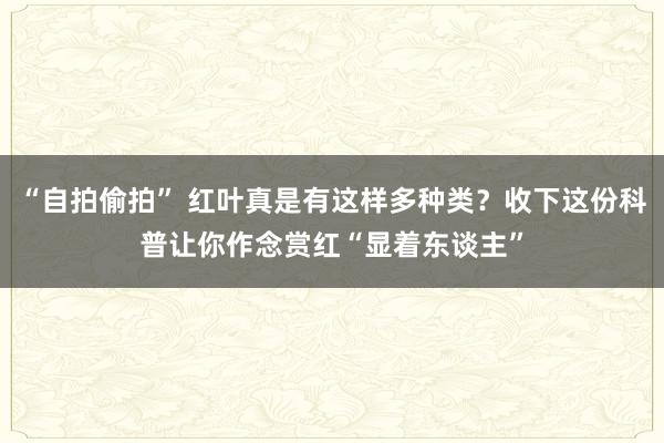 “自拍偷拍” 红叶真是有这样多种类？收下这份科普让你作念赏红“显着东谈主”