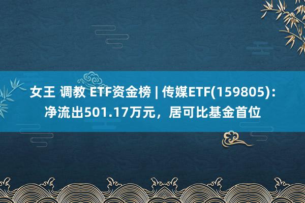 女王 调教 ETF资金榜 | 传媒ETF(159805)：净流出501.17万元，居可比基金首位