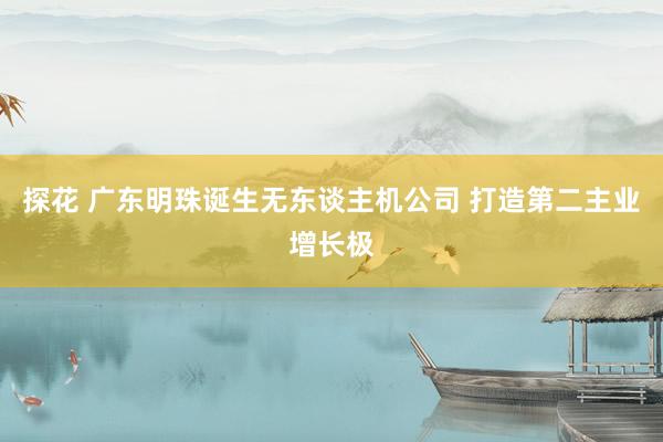 探花 广东明珠诞生无东谈主机公司 打造第二主业增长极