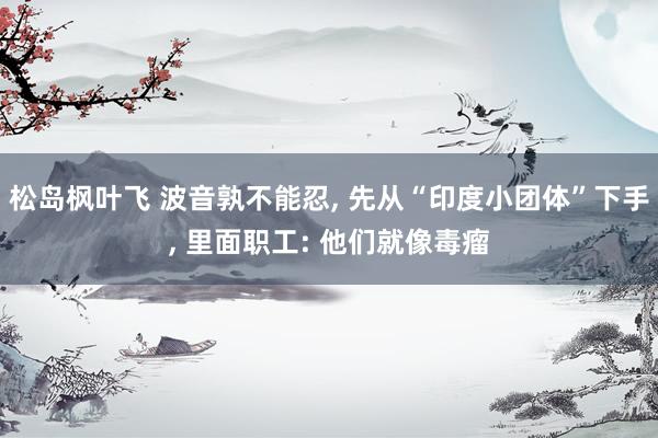 松岛枫叶飞 波音孰不能忍， 先从“印度小团体”下手， 里面职工: 他们就像毒瘤