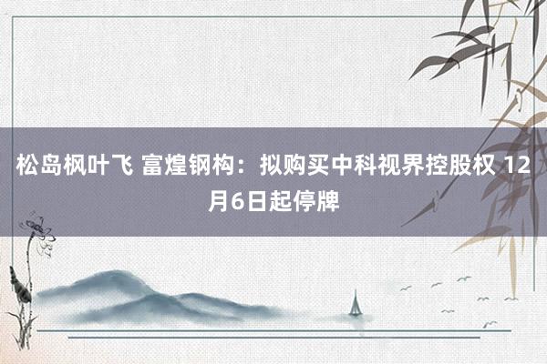 松岛枫叶飞 富煌钢构：拟购买中科视界控股权 12月6日起停牌