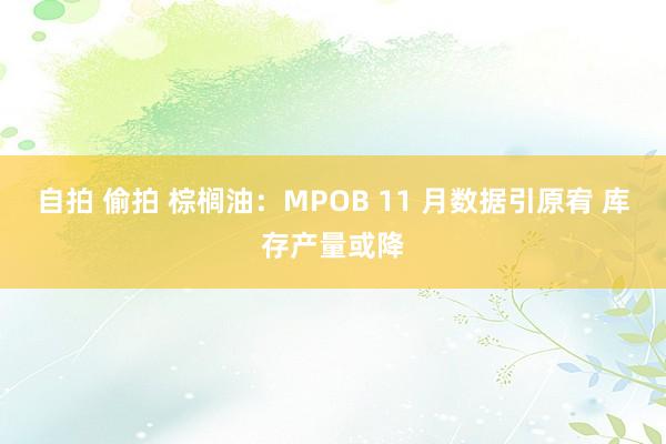 自拍 偷拍 棕榈油：MPOB 11 月数据引原宥 库存产量或降
