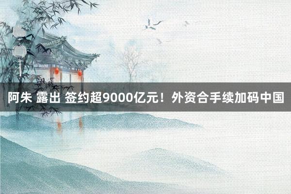 阿朱 露出 签约超9000亿元！外资合手续加码中国
