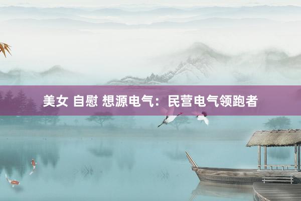 美女 自慰 想源电气：民营电气领跑者