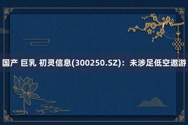 国产 巨乳 初灵信息(300250.SZ)：未涉足低空遨游