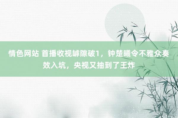 情色网站 首播收视罅隙破1，钟楚曦令不雅众奏效入坑，央视又抽到了王炸