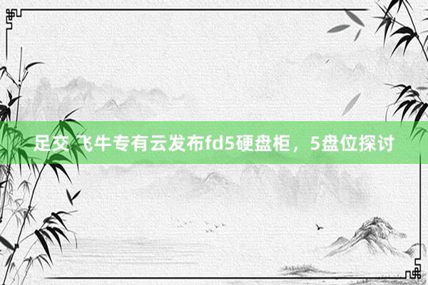 足交 飞牛专有云发布fd5硬盘柜,5盘位探讨
