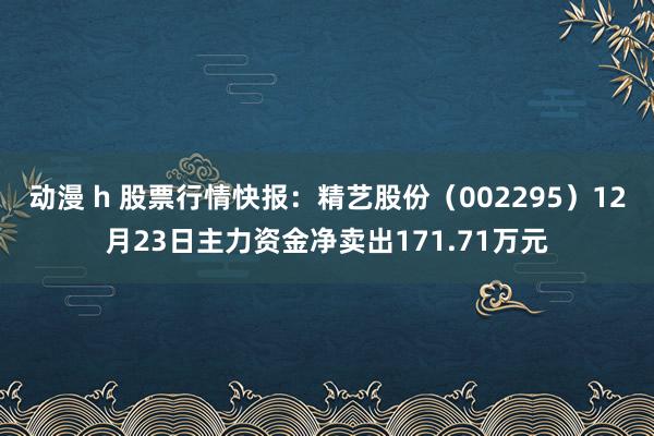 动漫 h 股票行情快报：精艺股份（002295）12月23日主力资金净卖出171.71万元