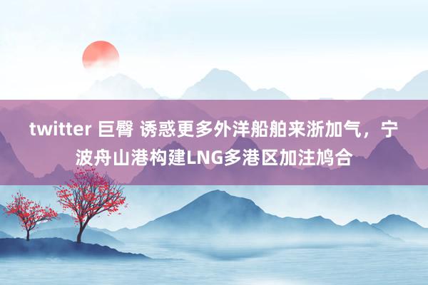 twitter 巨臀 诱惑更多外洋船舶来浙加气，宁波舟山港构建LNG多港区加注鸠合