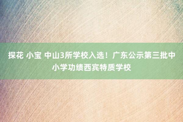 探花 小宝 中山3所学校入选！广东公示第三批中小学功绩西宾特质学校