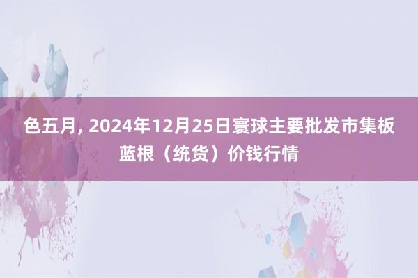 色五月， 2024年12月25日寰球主要批发市集板蓝根（统货）价钱行情