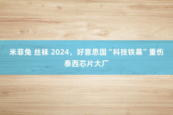 米菲兔 丝袜 2024，好意思国“科技铁幕”重伤泰西芯片大厂
