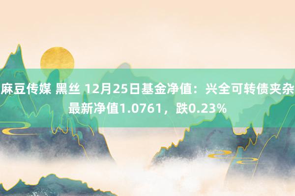麻豆传媒 黑丝 12月25日基金净值：兴全可转债夹杂最新净值1.0761，跌0.23%