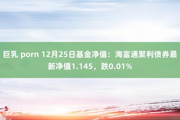巨乳 porn 12月25日基金净值：海富通聚利债券最新净值1.145，跌0.01%