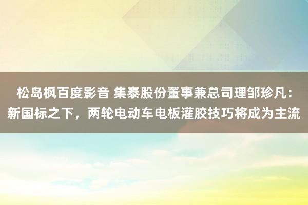 松岛枫百度影音 集泰股份董事兼总司理邹珍凡：新国标之下，两轮电动车电板灌胶技巧将成为主流