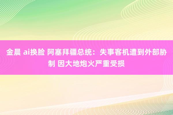 金晨 ai换脸 阿塞拜疆总统：失事客机遭到外部胁制 因大地炮火严重受损