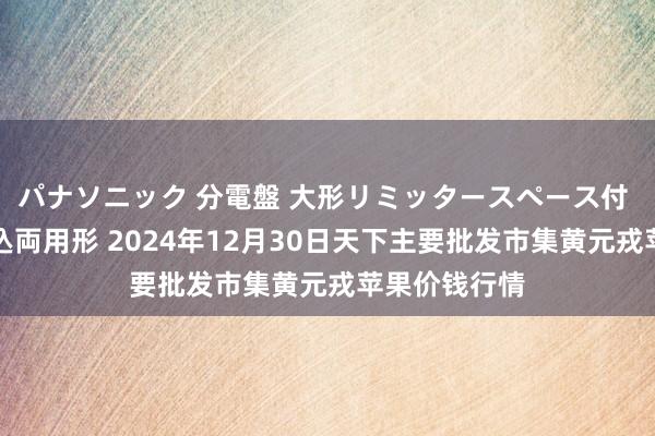 パナソニック 分電盤 大形リミッタースペース付 露出・半埋込両用形 2024年12月30日天下主要批发市集黄元戎苹果价钱行情