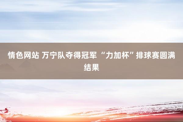 情色网站 万宁队夺得冠军 “力加杯”排球赛圆满结果