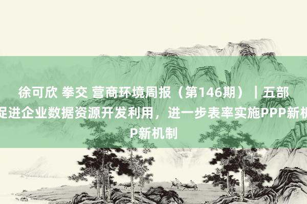 徐可欣 拳交 营商环境周报（第146期）｜五部门促进企业数据资源开发利用，进一步表率实施PPP新机制