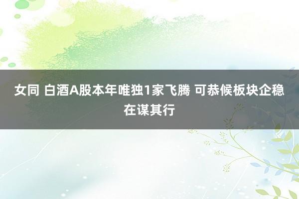 女同 白酒A股本年唯独1家飞腾 可恭候板块企稳在谋其行