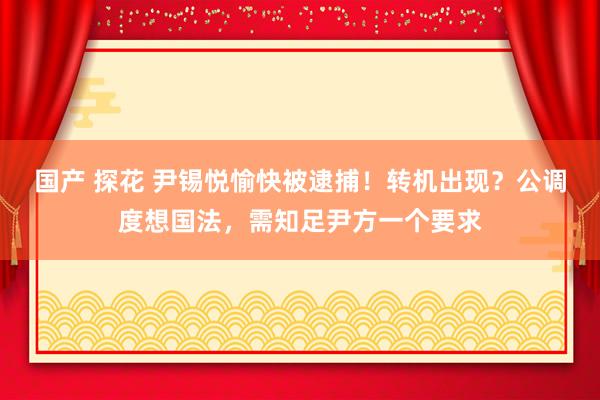 国产 探花 尹锡悦愉快被逮捕！转机出现？公调度想国法，需知足尹方一个要求