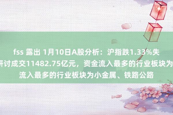 fss 露出 1月10日A股分析：沪指跌1.33%失守3200点，两市研讨成交11482.75亿元，资金流入最多的行业板块为小金属、铁路公路