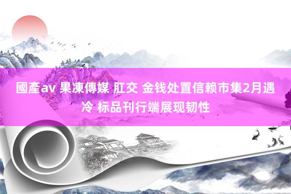 國產av 果凍傳媒 肛交 金钱处置信赖市集2月遇冷 标品刊行端展现韧性