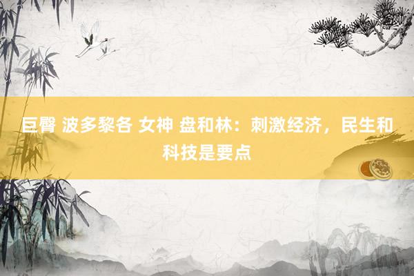 巨臀 波多黎各 女神 盘和林：刺激经济，民生和科技是要点