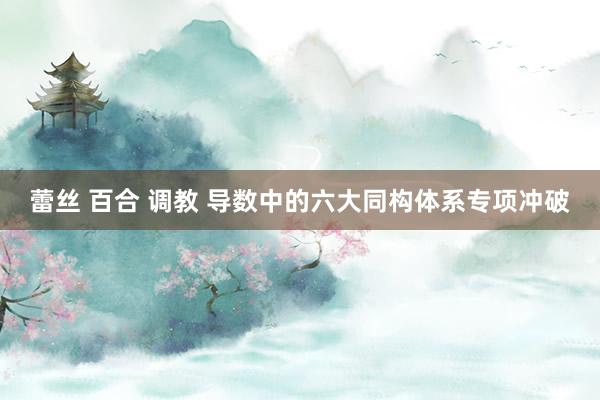 蕾丝 百合 调教 导数中的六大同构体系专项冲破