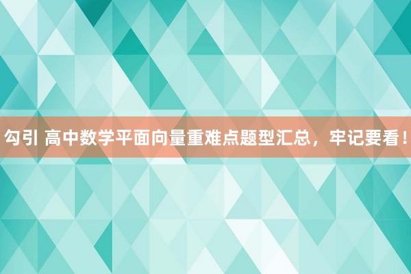 勾引 高中数学平面向量重难点题型汇总，牢记要看！