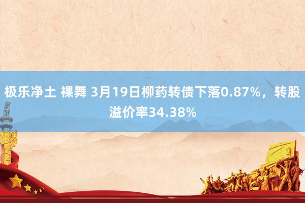 极乐净土 裸舞 3月19日柳药转债下落0.87%,转股溢价率34.38%
