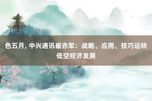 色五月， 中兴通讯崔亦军：战略、应用、技巧运转低空经济发展