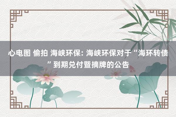 心电图 偷拍 海峡环保: 海峡环保对于“海环转债”到期兑付暨摘牌的公告