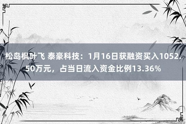 松岛枫叶飞 泰豪科技：1月16日获融资买入1052.50万元，占当日流入资金比例13.36%
