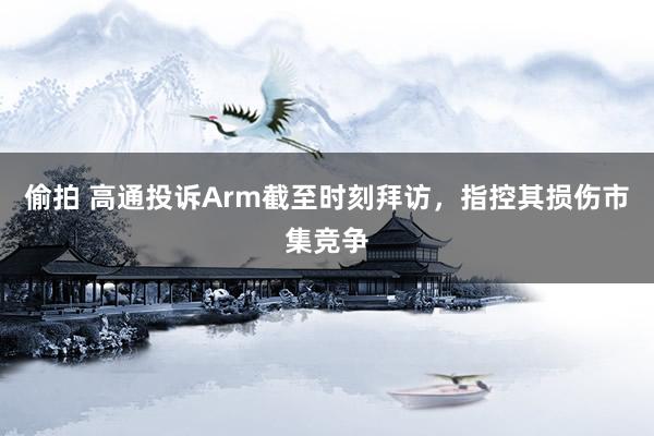 偷拍 高通投诉Arm截至时刻拜访，指控其损伤市集竞争
