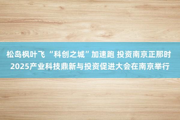 松岛枫叶飞 “科创之城”加速跑 投资南京正那时 2025产业科技鼎新与投资促进大会在南京举行
