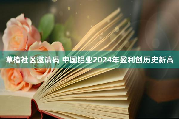 草榴社区邀请码 中国铝业2024年盈利创历史新高