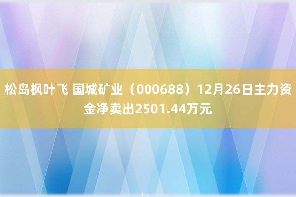 松岛枫叶飞 国城矿业（000688）12月26日主力资金净卖出2501.44万元