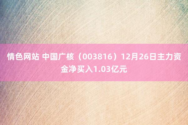 情色网站 中国广核（003816）12月26日主力资金净买入1.03亿元