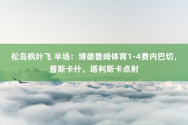 松岛枫叶飞 半场：博德鲁姆体育1-4费内巴切，普斯卡什、塔利斯卡点射