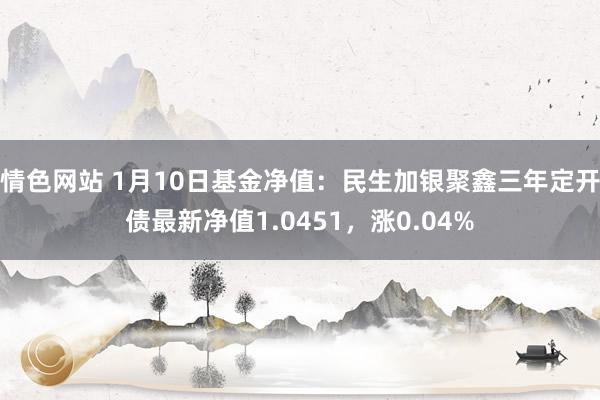情色网站 1月10日基金净值：民生加银聚鑫三年定开债最新净值1.0451，涨0.04%