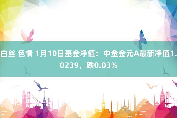 白丝 色情 1月10日基金净值：中金金元A最新净值1.0239，跌0.03%