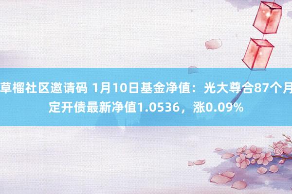 草榴社区邀请码 1月10日基金净值：光大尊合87个月定开债最新净值1.0536，涨0.09%
