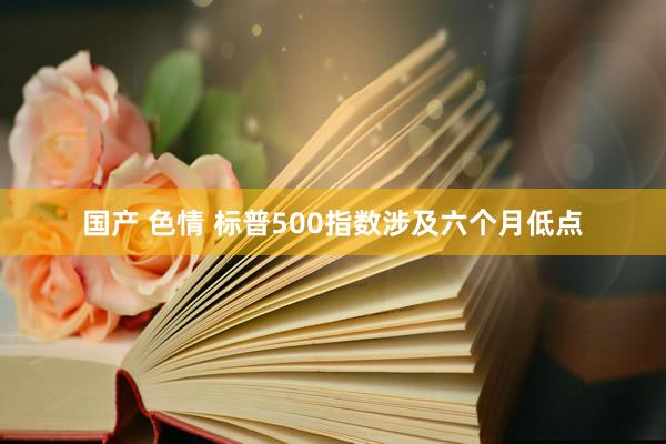 国产 色情 标普500指数涉及六个月低点
