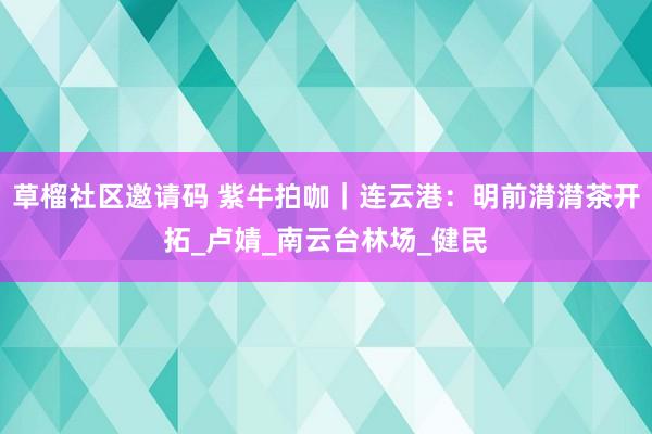 草榴社区邀请码 紫牛拍咖｜连云港：明前潸潸茶开拓_卢婧_南云台林场_健民
